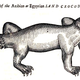 Image for article titled How Europeans Imagined Exotic Animals Centuries Ago, Based on Hearsay